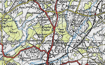 Old map of Buxted Park in 1940