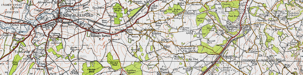 Old map of Ropley in 1945