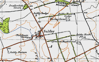 Old map of Saltby in 1946