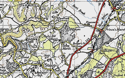 Old map of Steep Marsh in 1940