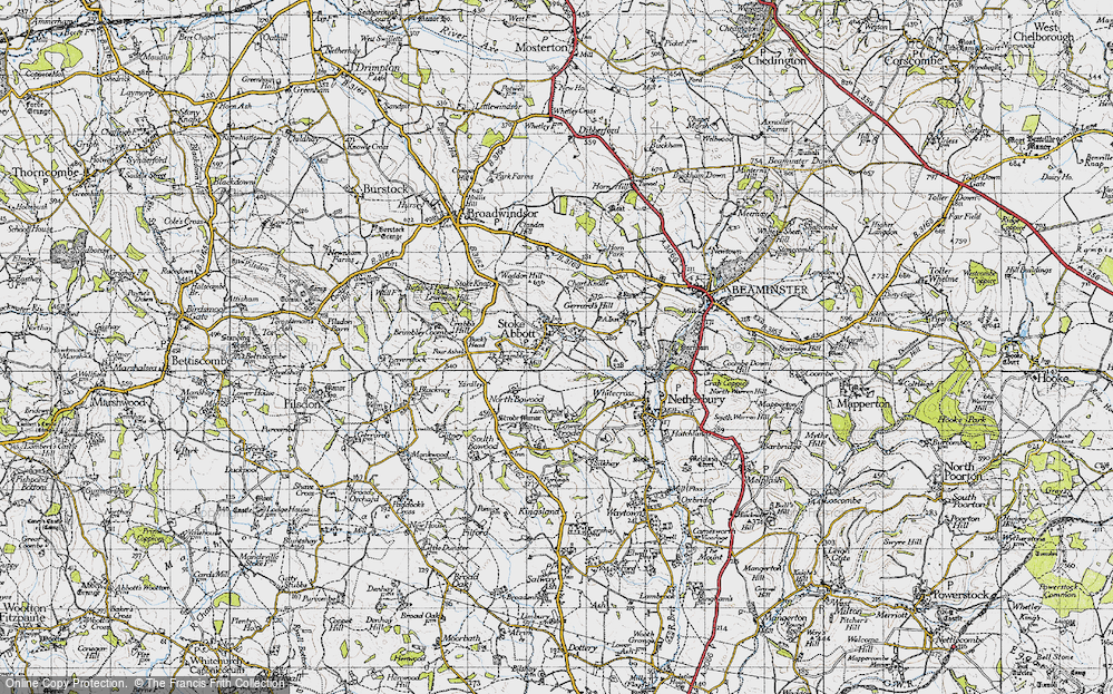 Old Map of Stoke Abbott, 1945 in 1945
