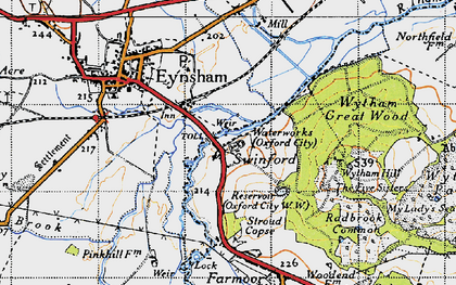 Old map of Wytham Hill in 1946