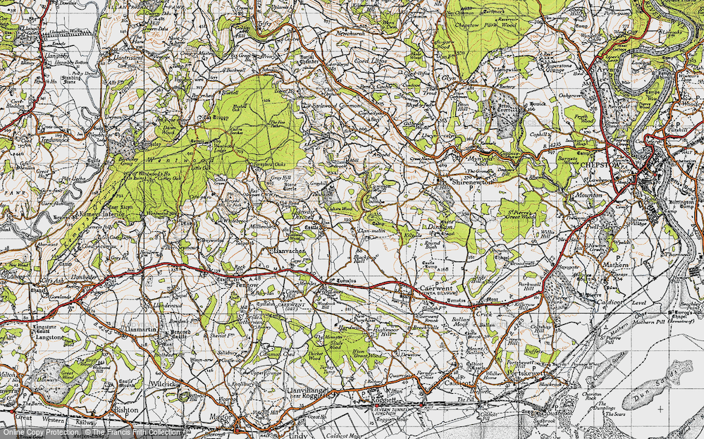 The Cwm, 1946