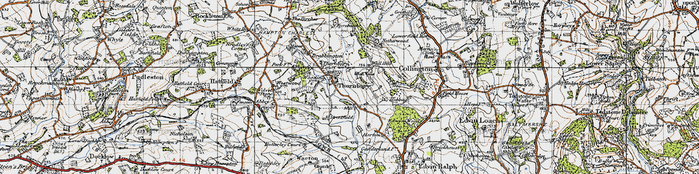 Old map of Wigpool Common in 1947