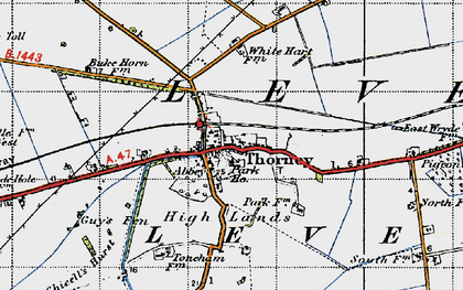 Old map of Thorney River in 1946