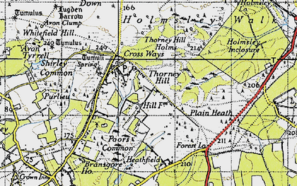 Old map of Thorney Hill in 1940