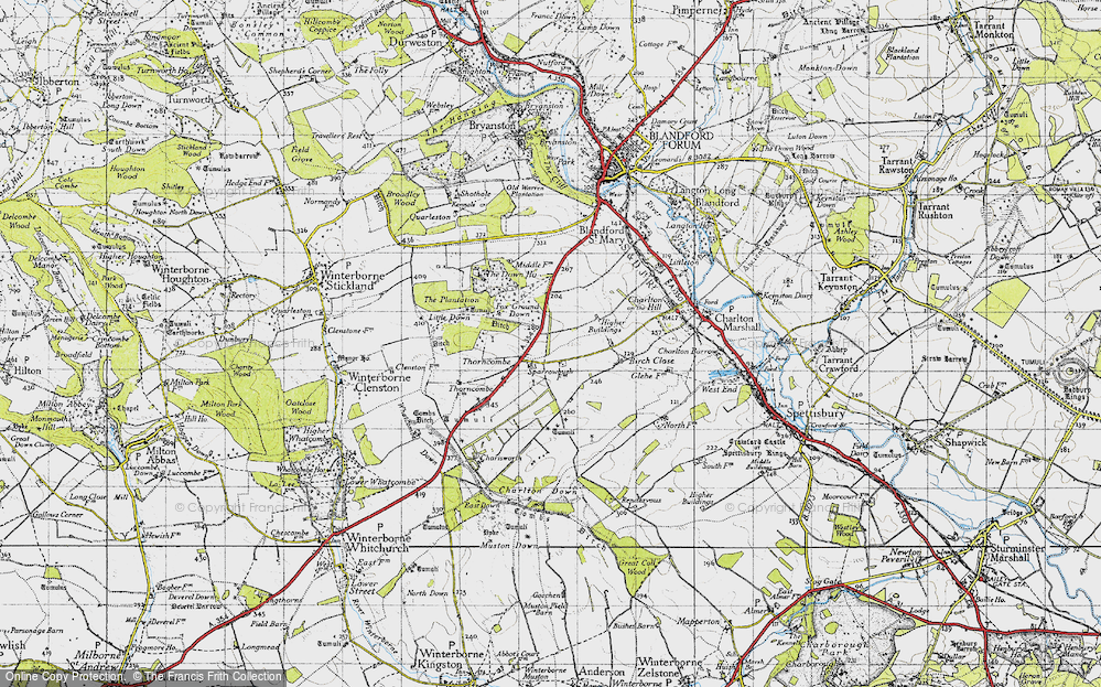 Old Map of Thornicombe, 1945 in 1945