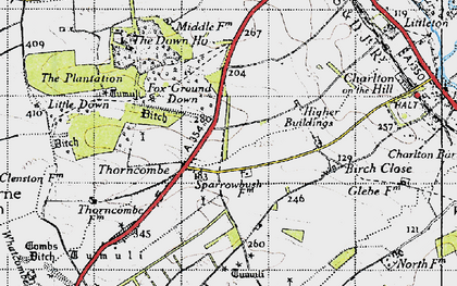 Old map of Thornicombe in 1945