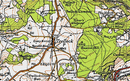 Old map of Trelleck Common in 1946