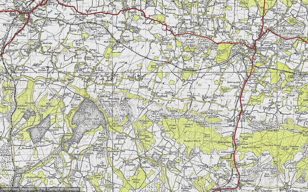 Old Map of Treyford, 1945 in 1945