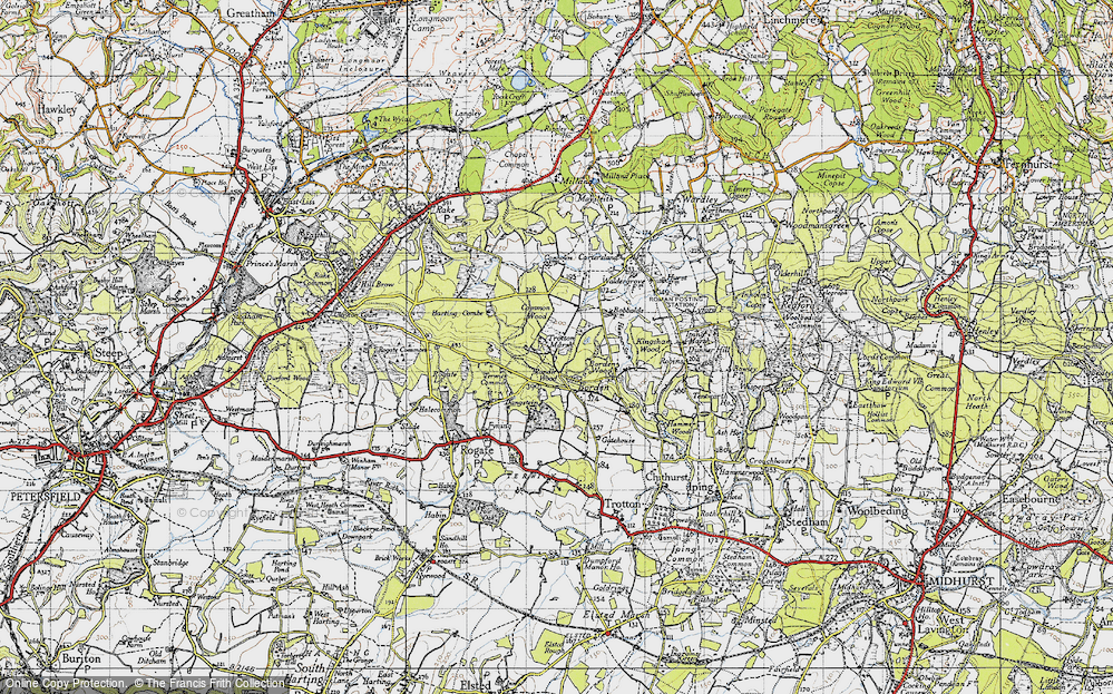 Old Map of Trotten Marsh, 1945 in 1945