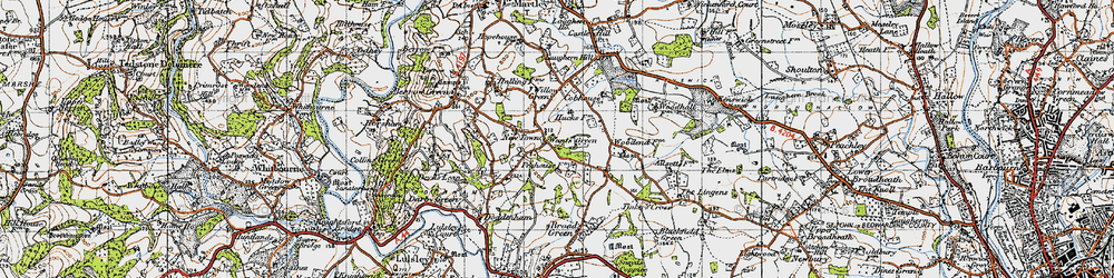 Old map of Wants Green in 1947