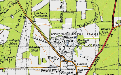 Old map of Belvedere Wood in 1946