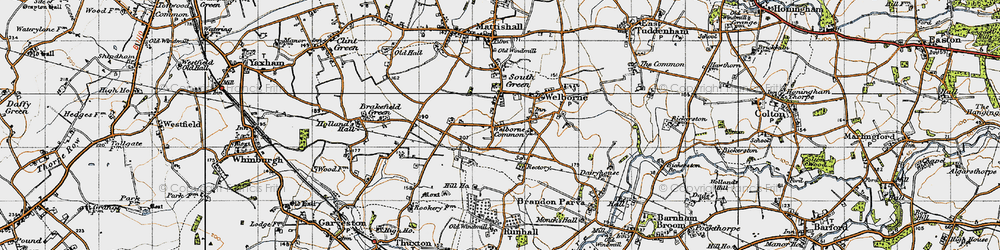Old map of Welborne Common in 1946