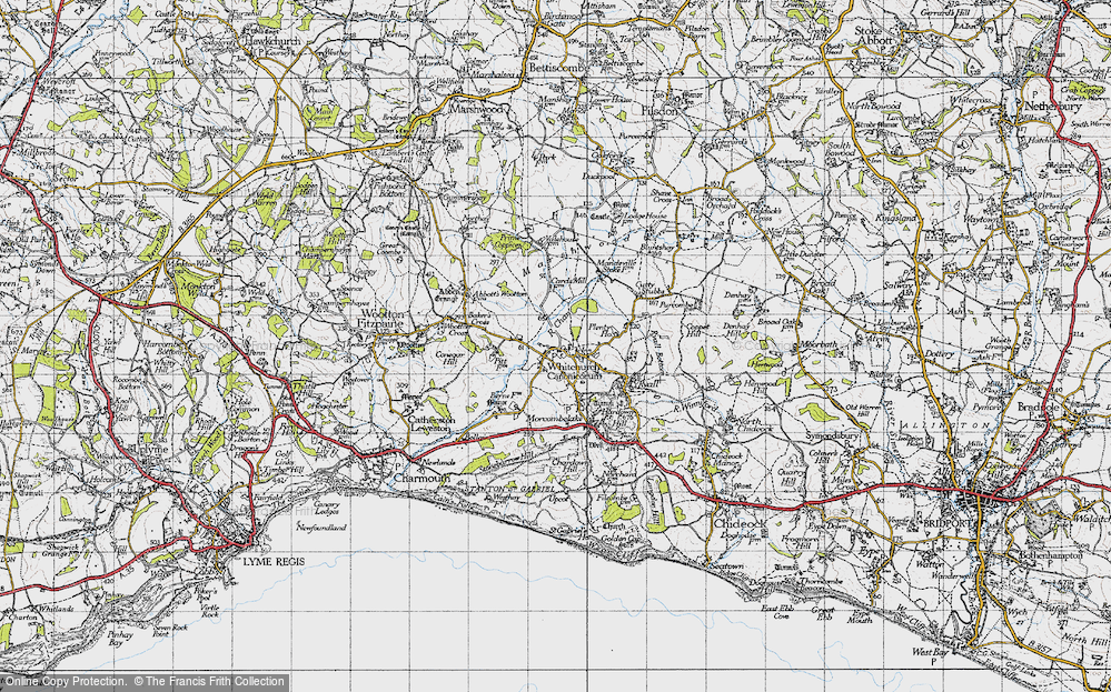 Old Map of Whitchurch Canonicorum, 1945 in 1945