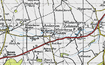 Old map of Winterborne Tomson in 1945