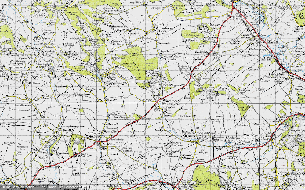 Old Map of Winterborne Whitechurch, 1945 in 1945
