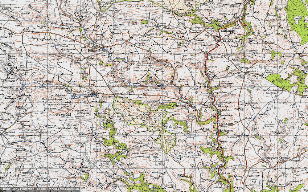 Old Map of Historic Map covering Ashcombe in 1946