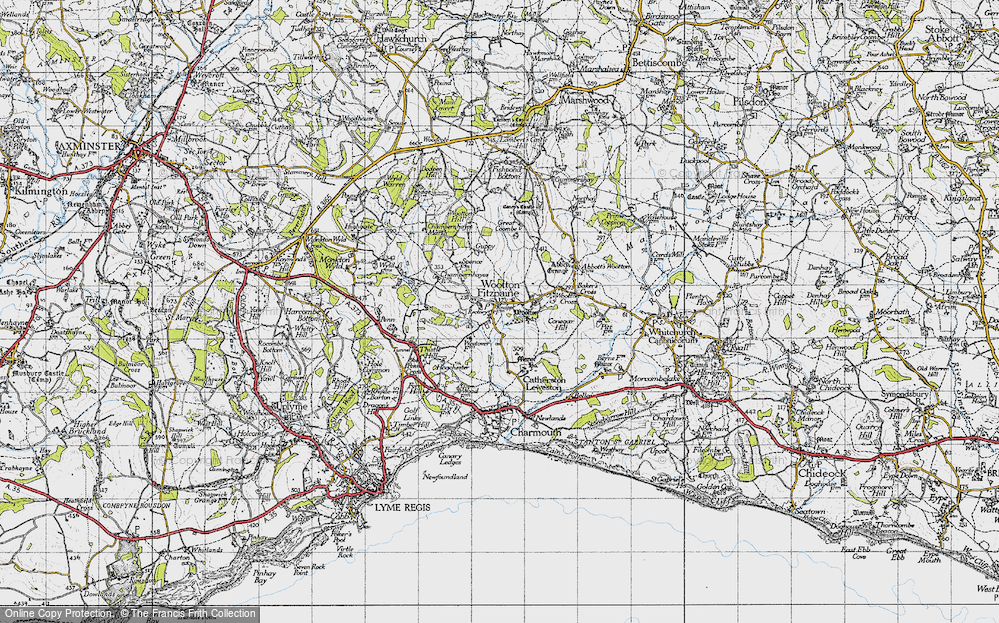 Old Map of Wootton Fitzpaine, 1945 in 1945