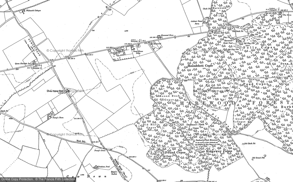 Old Map of Andover Down, 1894 in 1894