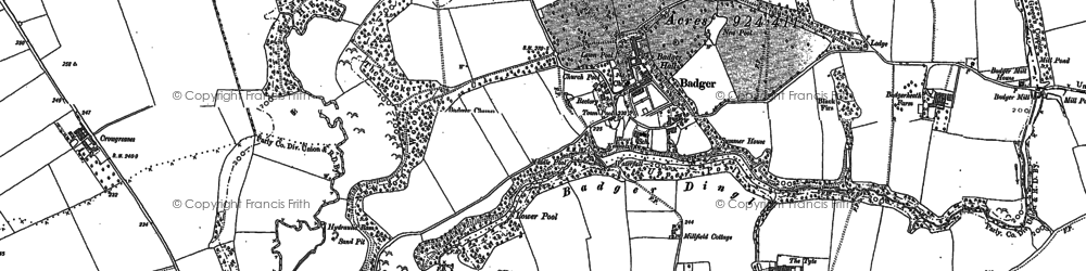 Old map of Badger Dingle in 1882