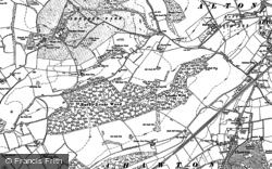 1895, Beech