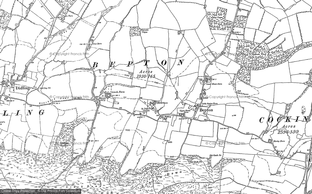 Old Map of Historic Map covering Bepton Down in 1896