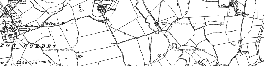 Old map of Besford in 1880