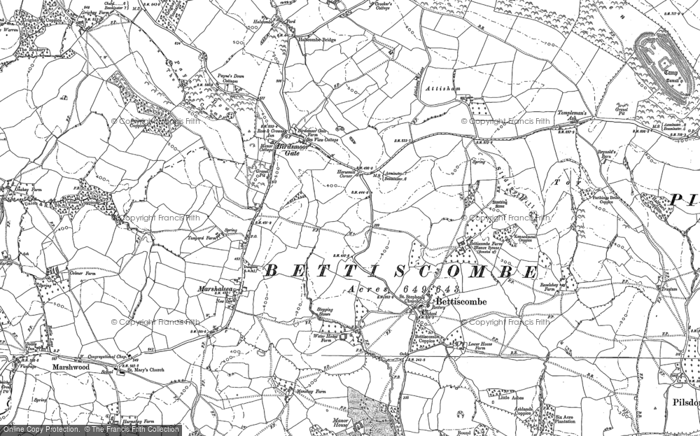 Old Map of Bettiscombe, 1887 in 1887