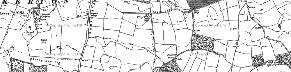 Old map of Bilton Haggs in 1891