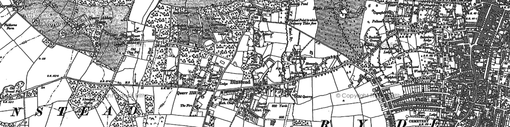 Old map of Binstead in 1896