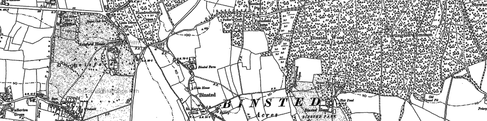Old map of Binsted in 1875
