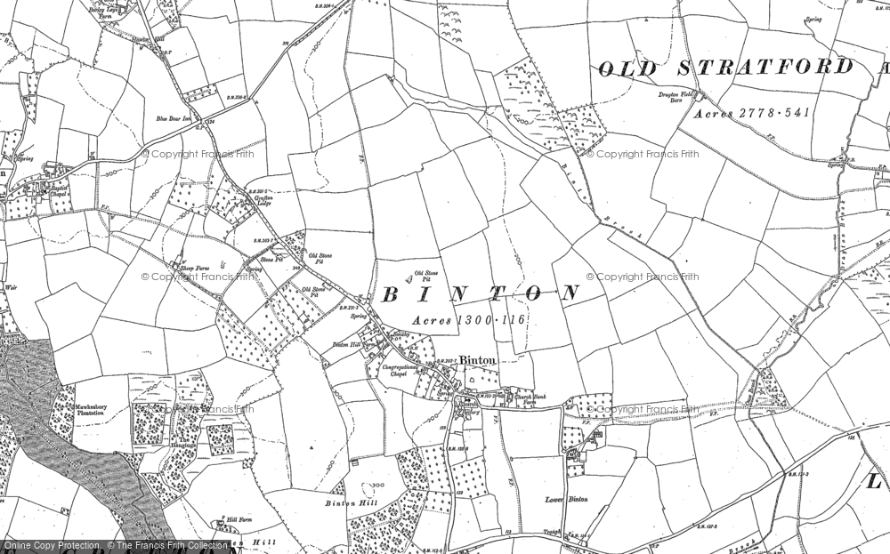 Old Map of Binton, 1883 - 1885 in 1883