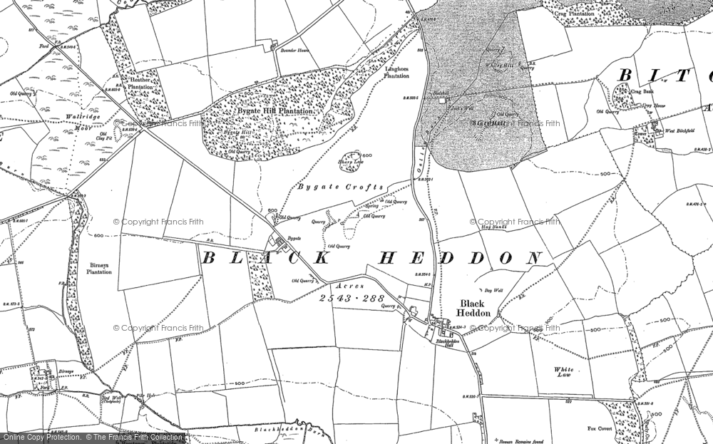 Old Map of Historic Map covering Belsay Dene Ho in 1895