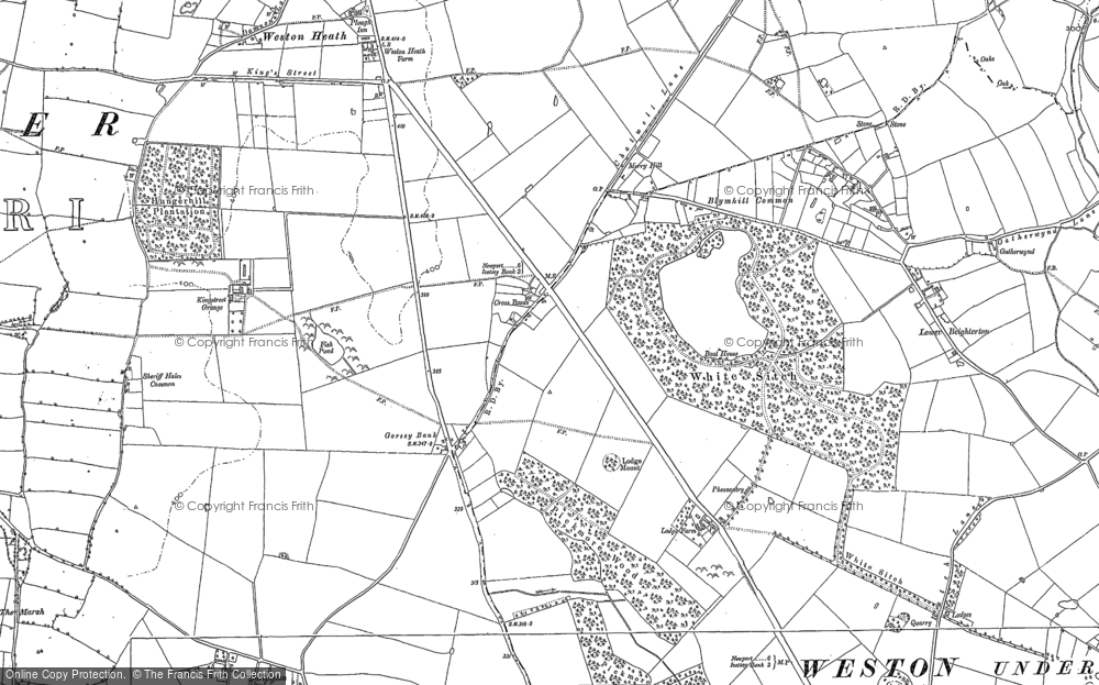 Old Map of Blymhill Common, 1901 in 1901
