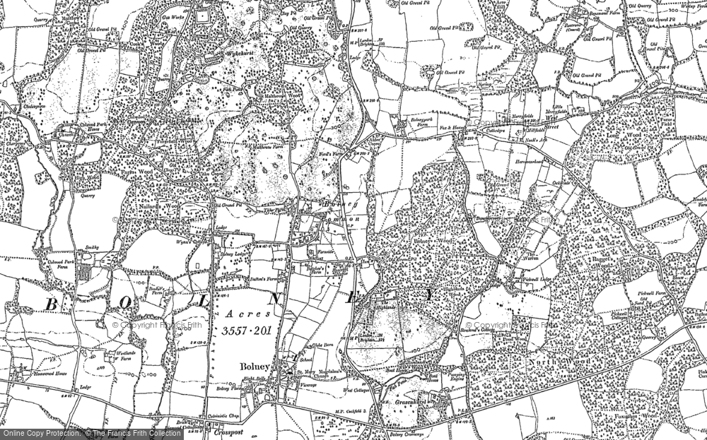 Old Map of Historic Map covering Wykehurst Park in 1896