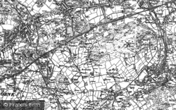 1878 - 1879, Bosleake