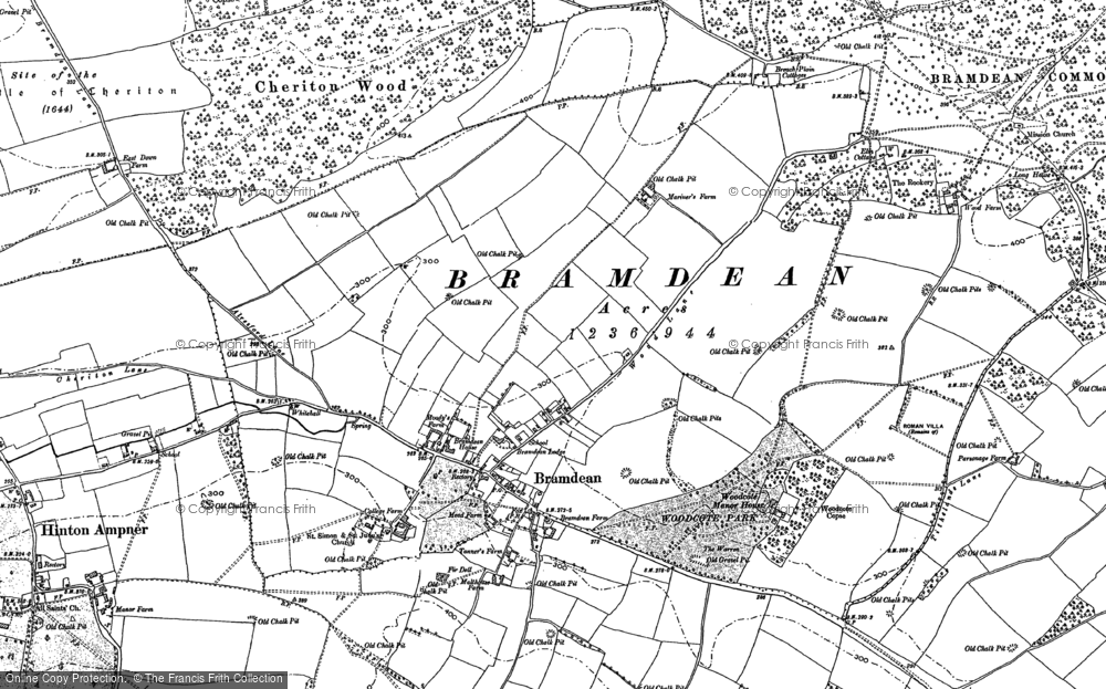Old Map of Historic Map covering Bramdean Common in 1895