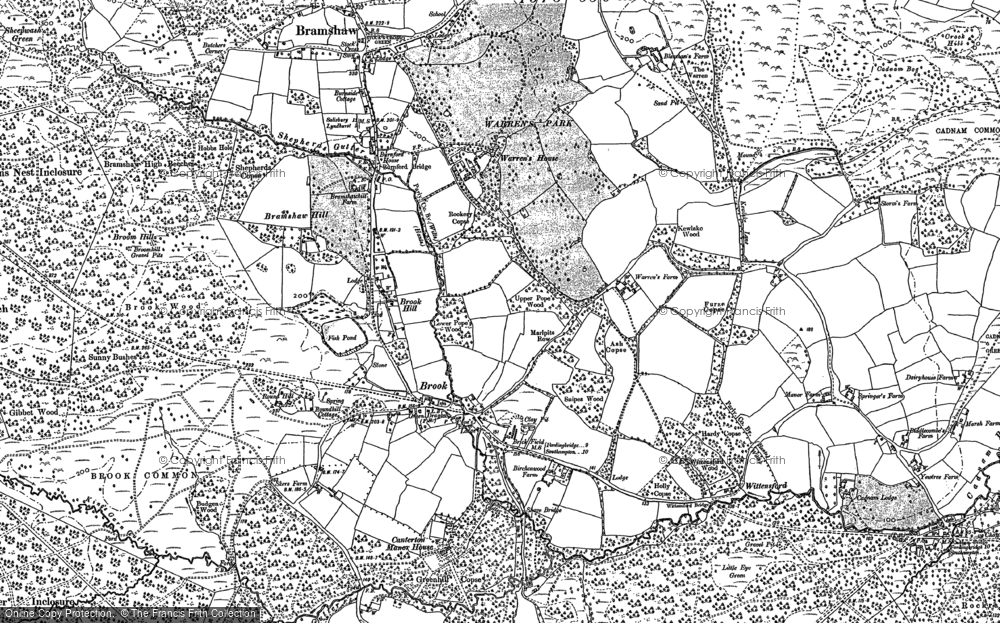 Old Map of Historic Map covering Brook Common in 1895