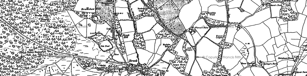 Old map of Blackthorn Copse in 1895