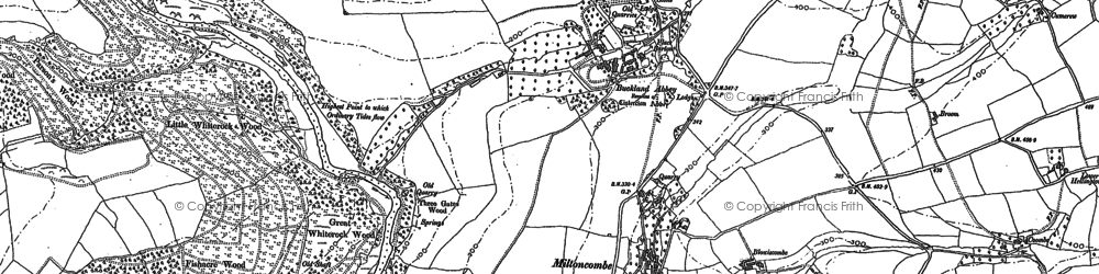 Old map of Buckland Abbey in 1883