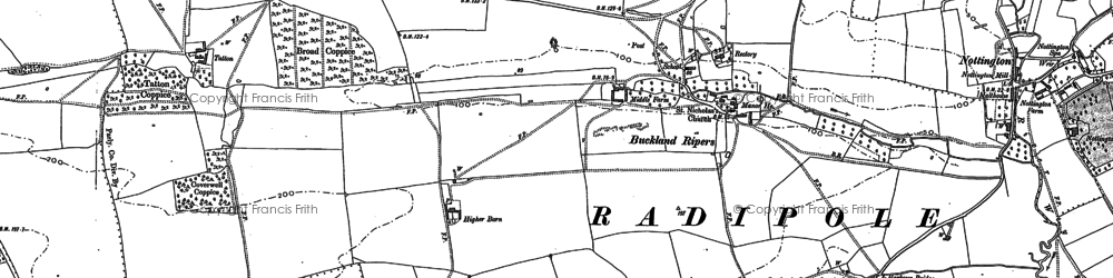 Old map of Buckland Ripers in 1886