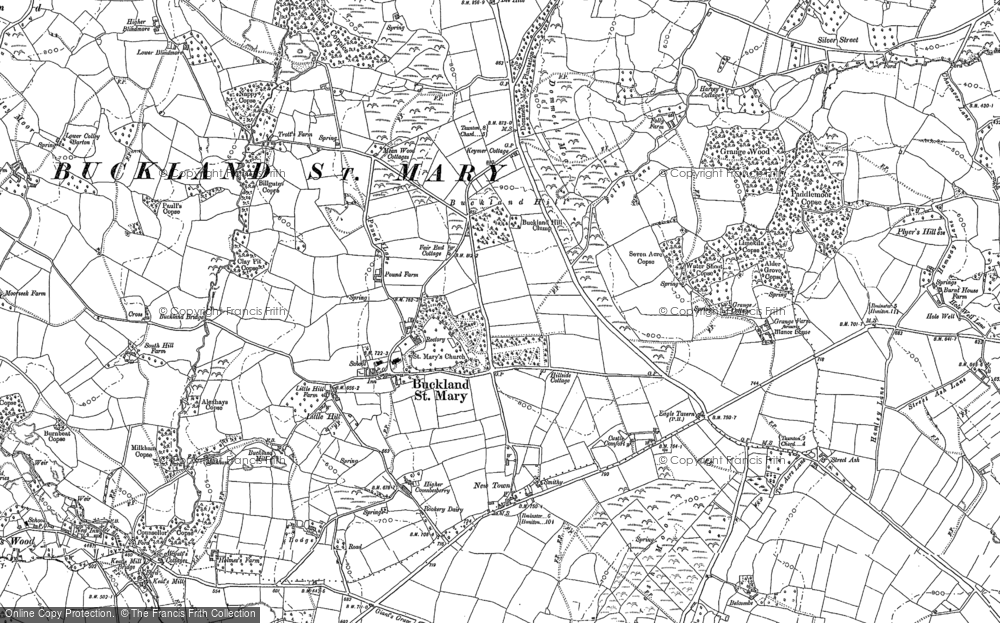 Old Map of Buckland St Mary, 1901 in 1901