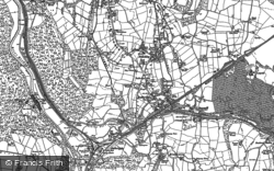1879, Bullbridge