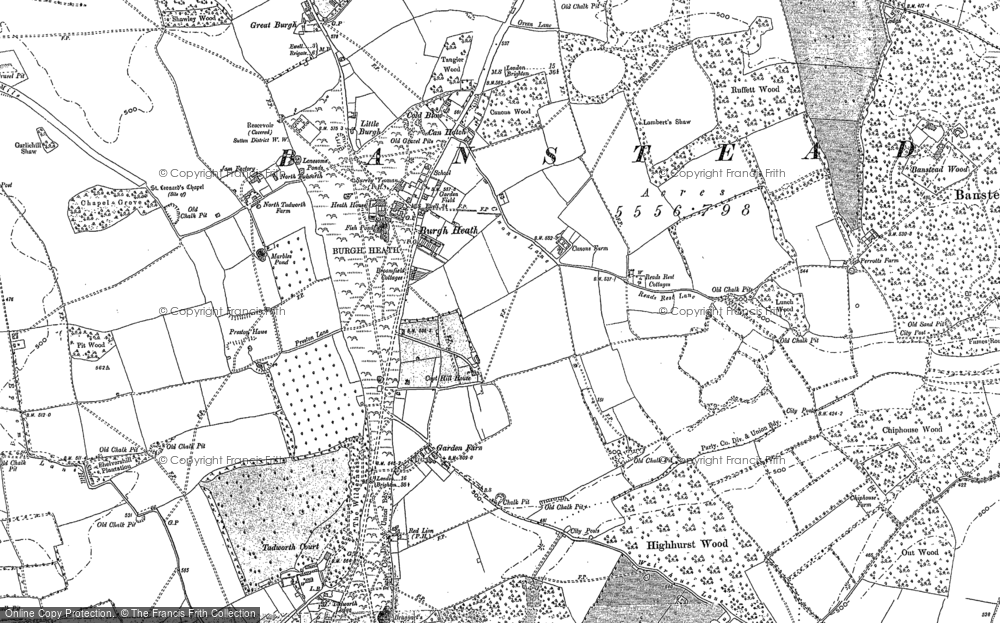 Old Map of Burgh Heath, 1895 in 1895