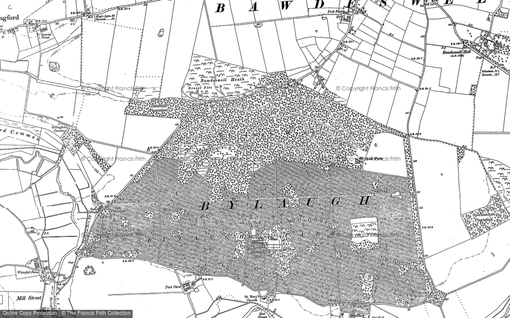 Old Map of Bylaugh Wood, 1882 - 1885 in 1882