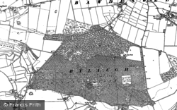 1882 - 1885, Bylaugh Wood