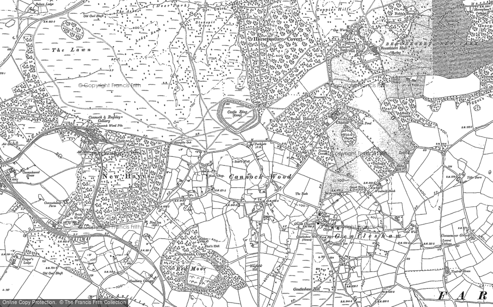 Old Map of Historic Map covering Beaudesert Old Park in 1882