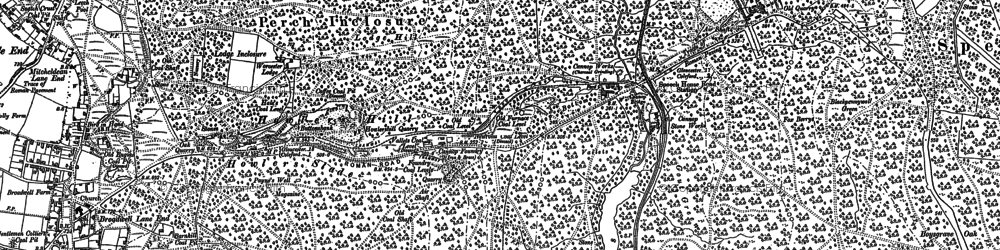 Old map of New Beechenhurst Inclosure in 1878
