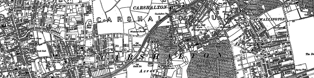 Old map of Carshalton in 1894